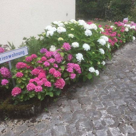 Ferienwohnung Sponheim Traben-Trarbach Exteriér fotografie