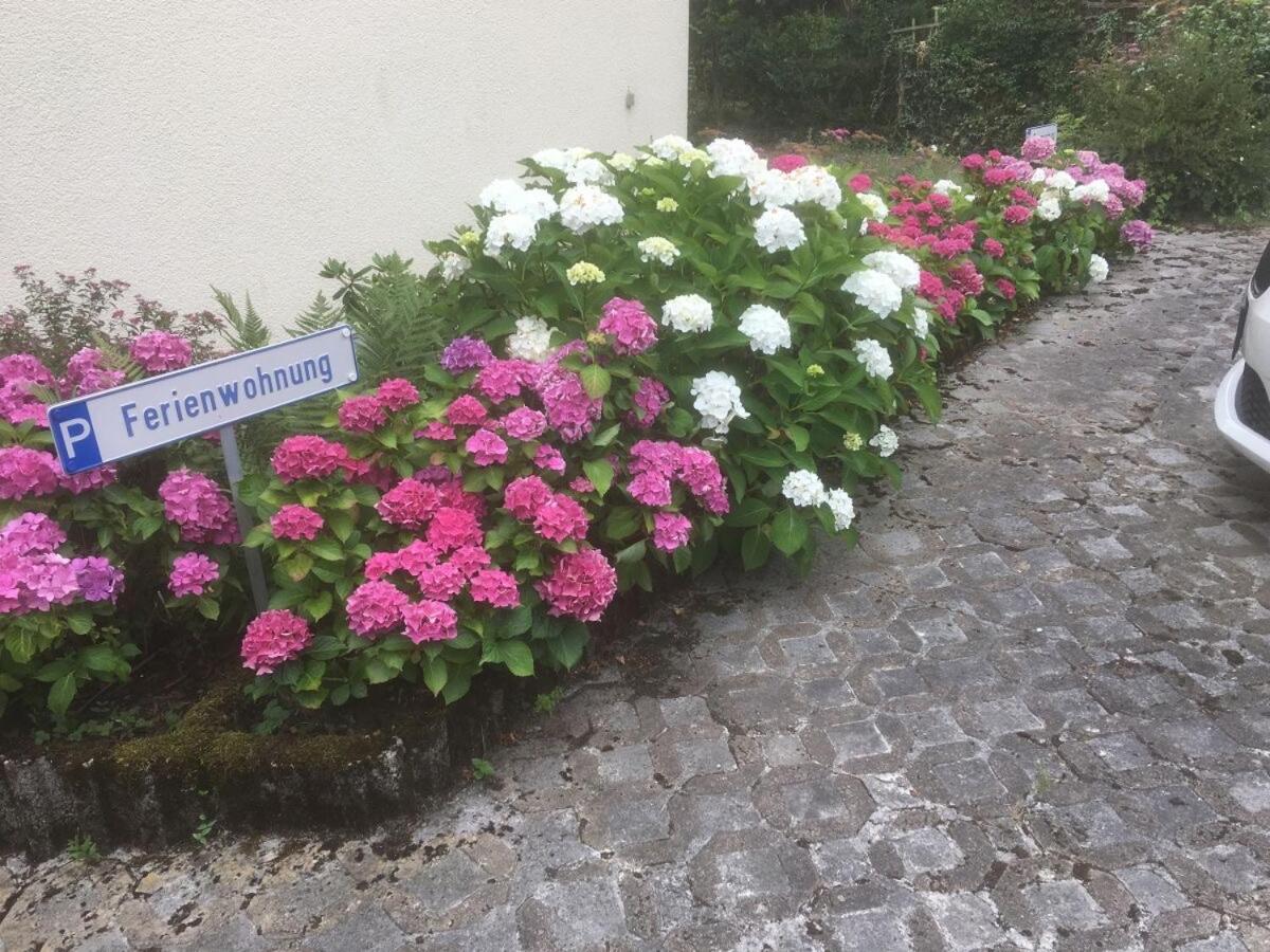 Ferienwohnung Sponheim Traben-Trarbach Exteriér fotografie